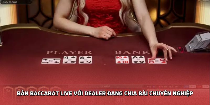 Bàn baccarat live với dealer đang chia bài chuyên nghiệp