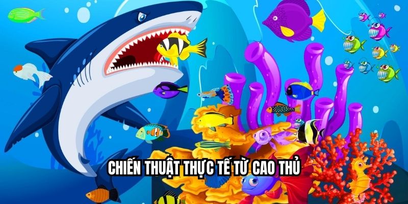 Chiến thuật thực tế từ cao thủ