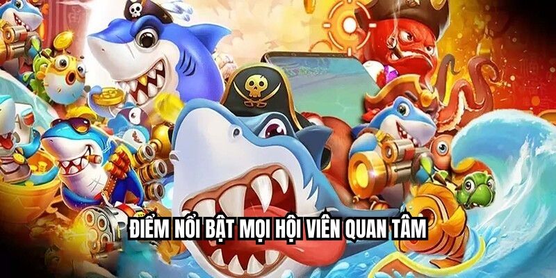 Điểm nổi bật mọi hội viên quan tâm